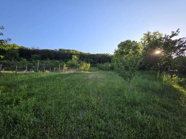 Casă cu Teren 2500 Mp în Central