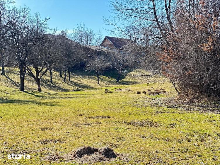 TEREN SOHODOL - UN LOC UNDE NATURA I?I DEVINE PARTENER DE INVESTI?IE - 11