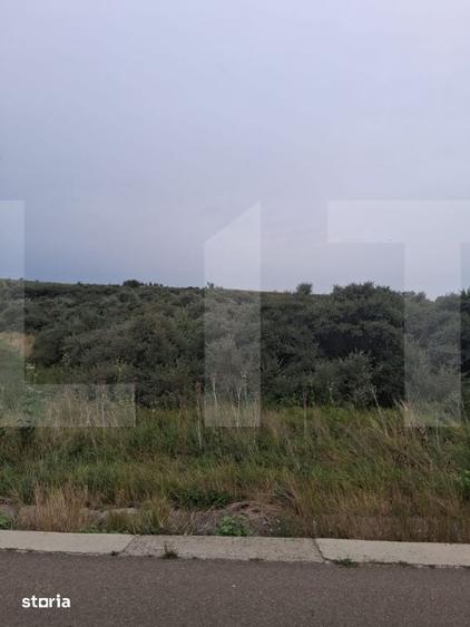 Teren de 17300 mp, în Unțeni