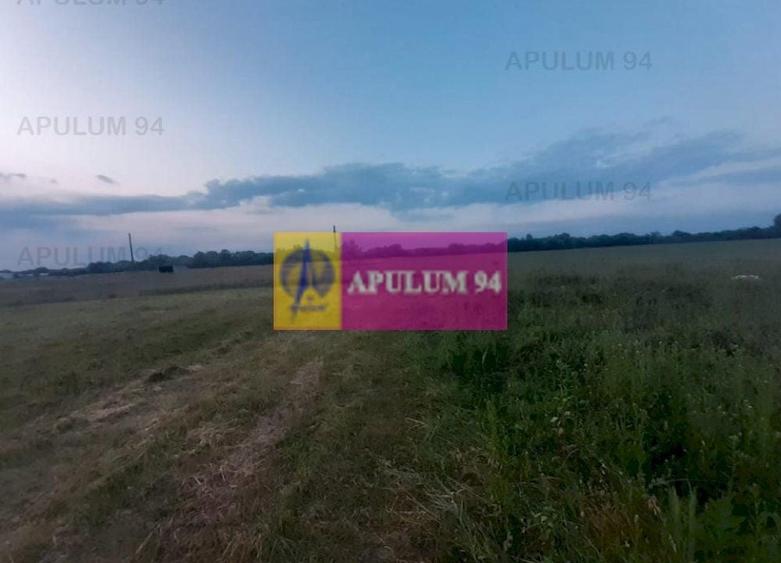 Teren Construcții intravilan de 3820 mp, în 1 Decembrie