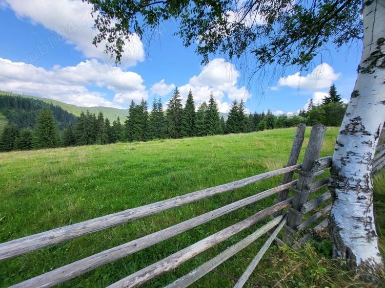 Teren de 5000 mp, în Ortoaia