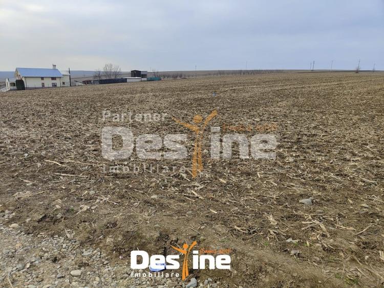 Teren Construcții intravilan de 8100 mp, în Dumești
