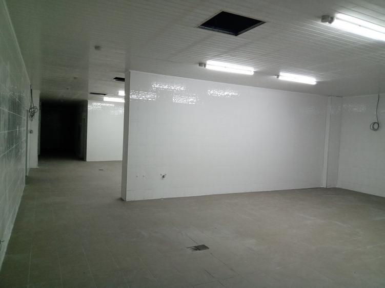 Spațiu industrial, de 960 mp, în Pantelimon
