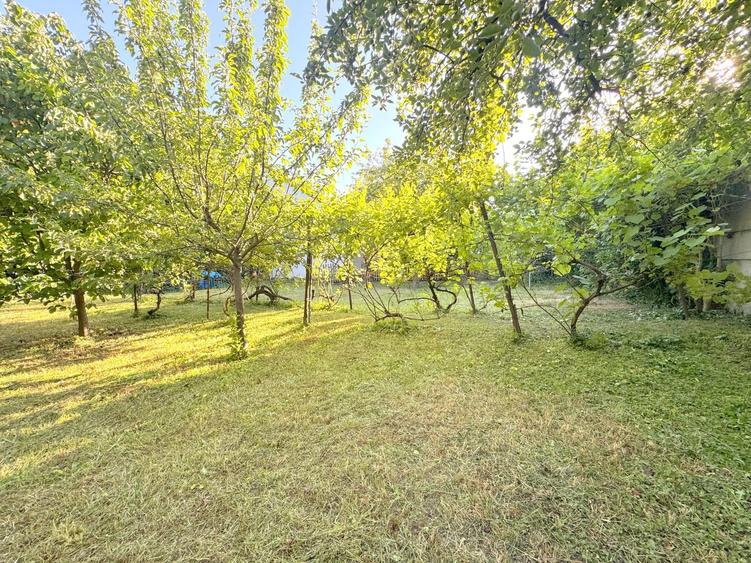 Casă individuală cu 6 camere cu Canalizare în Elisabetin
