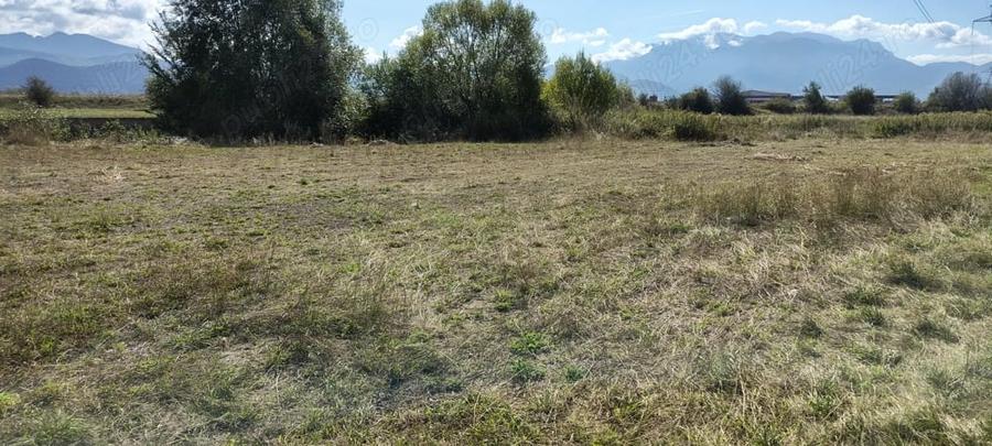 Teren de 7500 mp, în Vulcan
