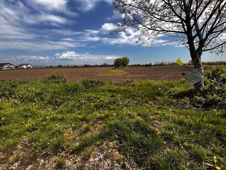 Teren de 1700 mp, în Berceni