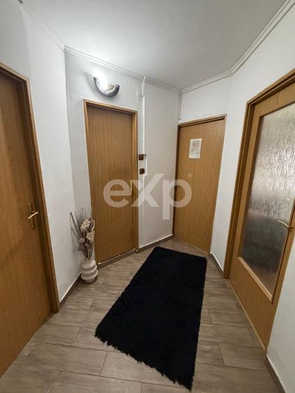 Apartament cu 2 camere decomandat, mobilat în Găvana 3