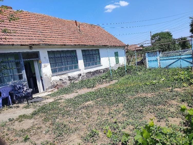 Casă cu 3 camere cu Teren 10000 Mp în Central