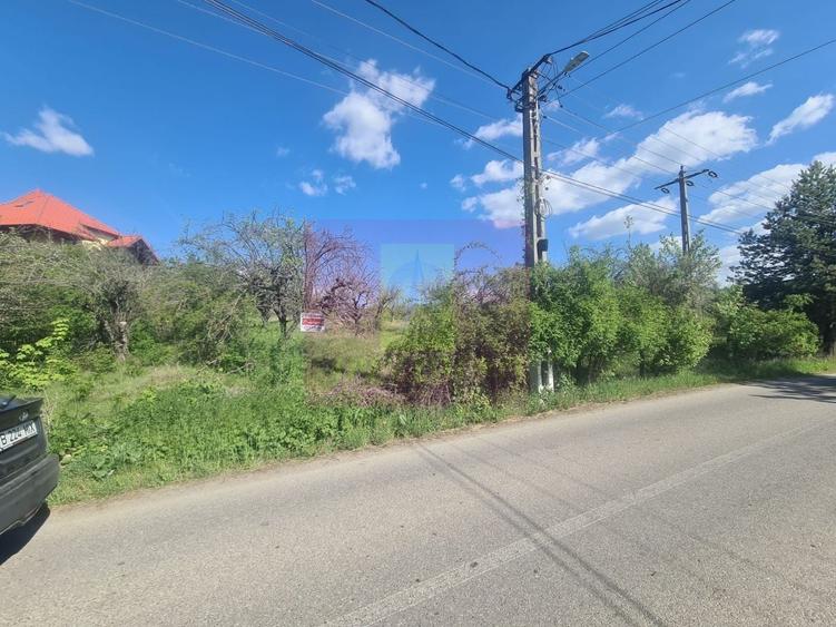 Teren Construcții intravilan de 2500 mp, în Voila