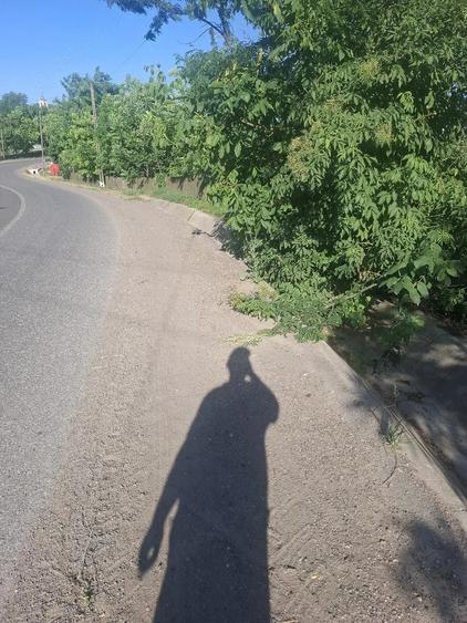 Casă cu Teren 900 Mp în Central