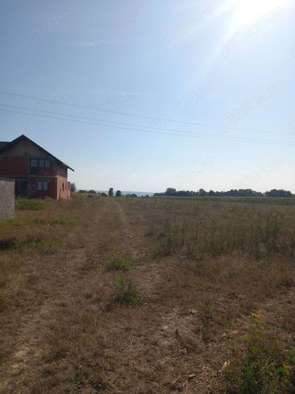 Teren de 9000 mp, în Lămășeni