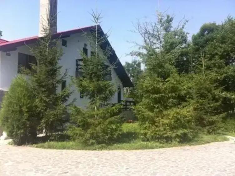 Casă cu 6 camere cu Teren 6200 Mp în Provița de Jos