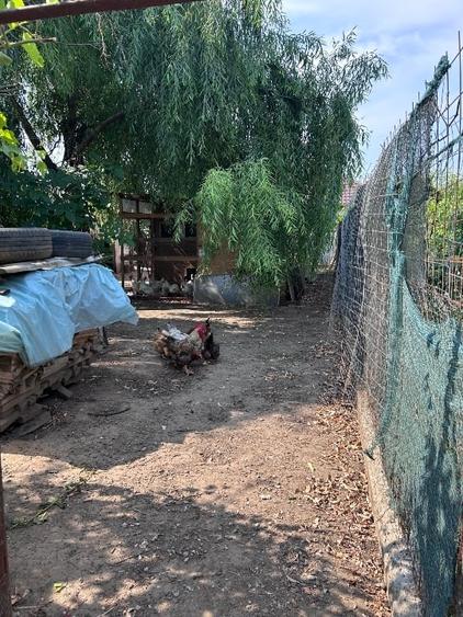Casă individuală cu 3 camere cu Canalizare în Central