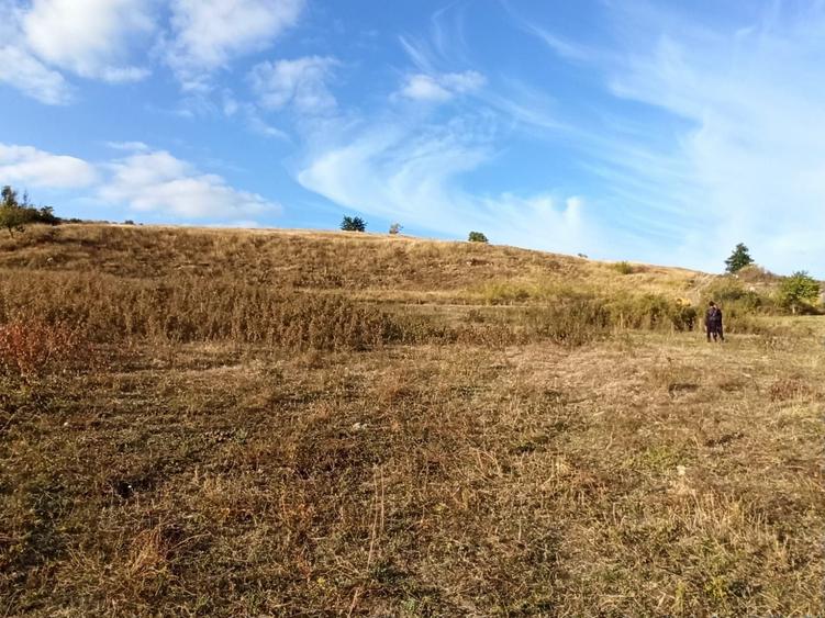 Teren de 21000 mp, în Jugureni