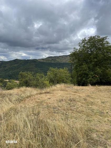 Teren de 10100 mp, în Bratca