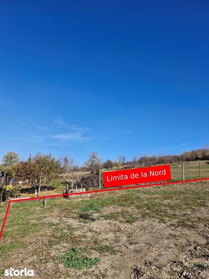 Teren de 1308 mp, în Rediu