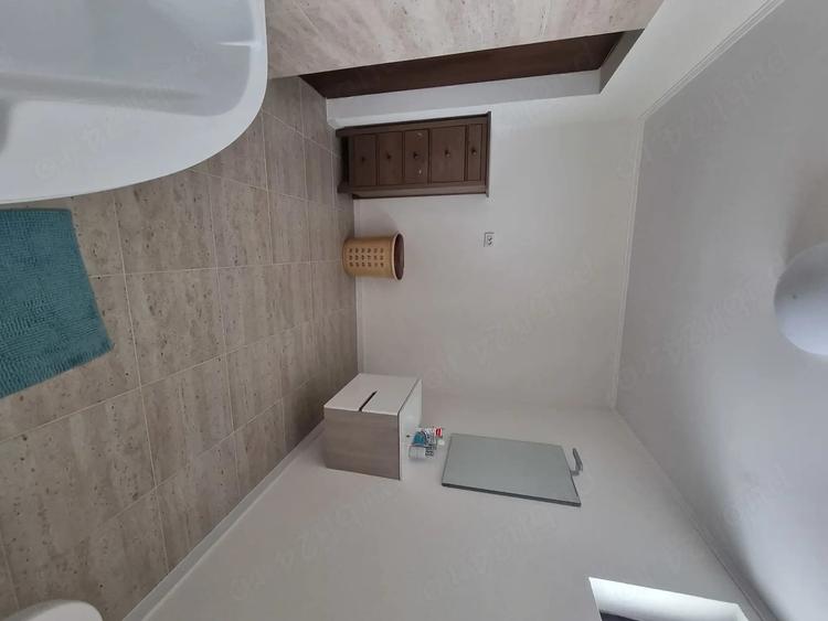 Inchiriere apartament 2 camere Snagov - 3