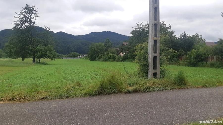 Teren de 5422 mp, în Viișoara