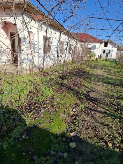 Vand casa in comuna Marsani dolj - 4