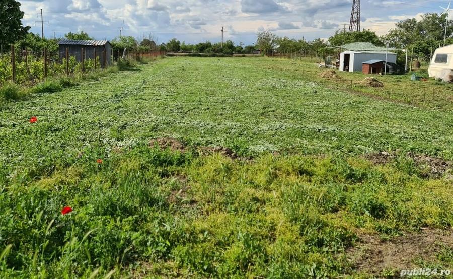 Teren de 2500 mp, în Nord