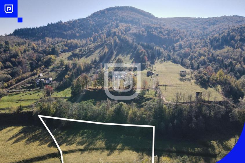 Teren Construcții extravilan de 5000 mp, în Vama