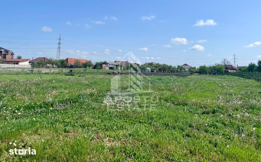Casă cu 4 camere cu Teren 4898 Mp în Gai