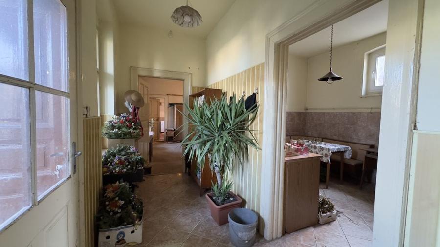 Casă 4 camere cu Teren 2.974 mp | Rezidență sau afacere | Carei - 22