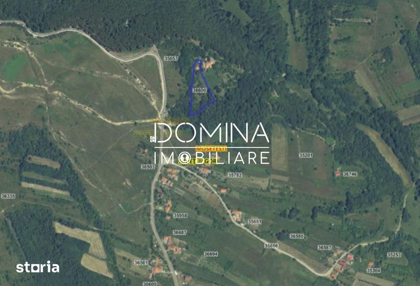 Casă cu 2 camere cu Teren 4790 Mp în Mușetești