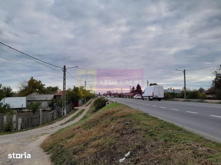 DE VANZARE TEREN 2000 MP - COSERENI( il ) - 9