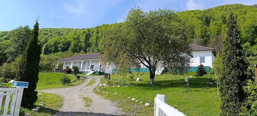 Casă cu Teren 2306 Mp în Predeluț