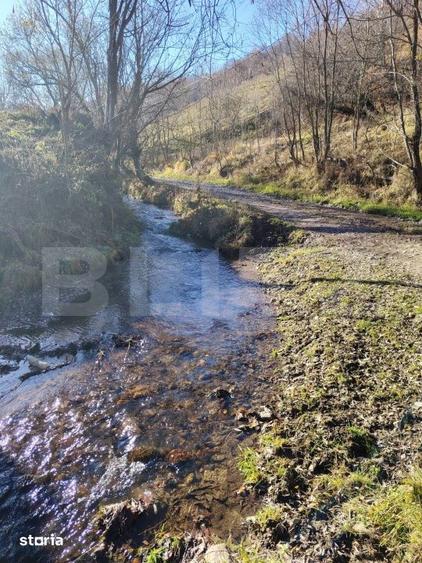 Teren de 7000 mp, în Băișoara