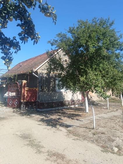 Casă cu 3 camere în Șomoșcheș