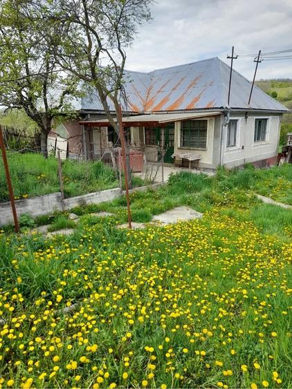 Casă cu Teren 3096 Mp în Boianu Mare