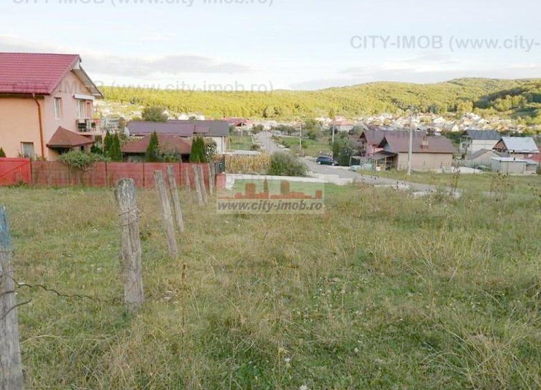 Teren Construcții intravilan de 500 mp, în Ocnița