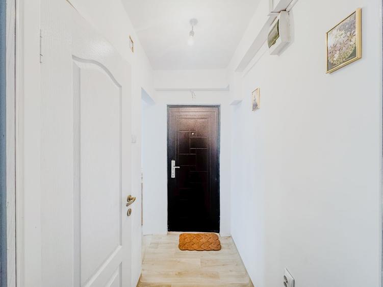 Apartament cu o camera|25 m2 utili| zona centrală/Horea - 12