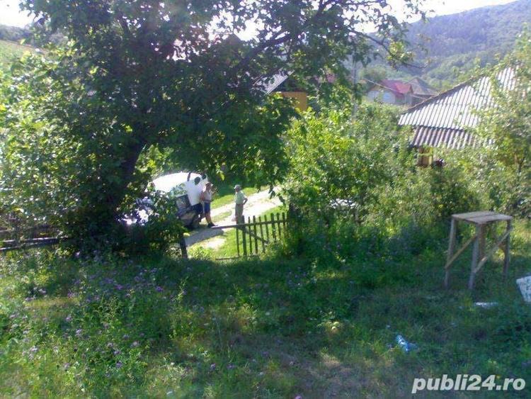 Teren de 4000 mp, în Tutana
