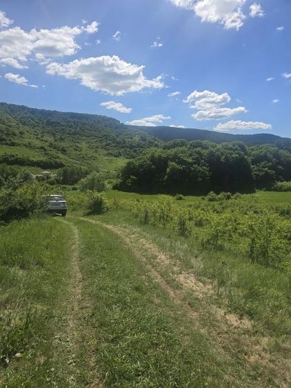 Teren de 765 mp, în Florești