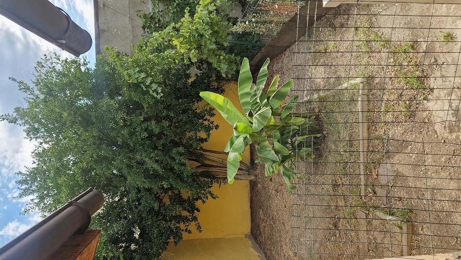 Casă cu Teren 300 Mp în Central