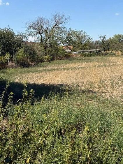 Casă cu 3 camere cu Teren 3083 Mp în Lugojel