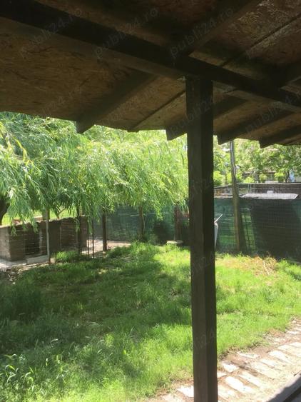 Casă cu 3 camere cu Teren 1748 Mp în Checea