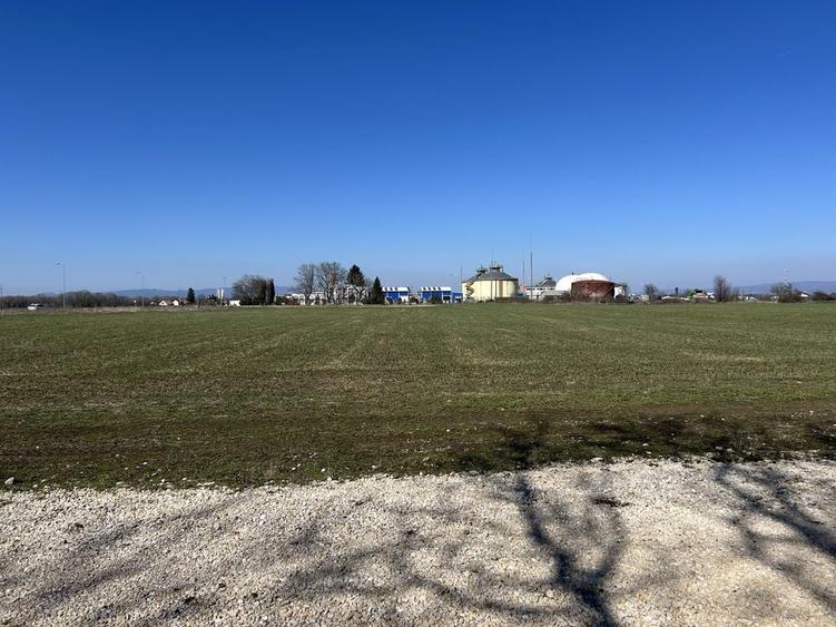 Teren de 8112 mp, în Bartolomeu