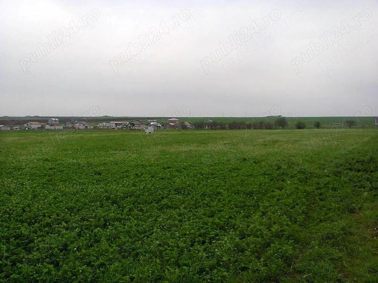 Teren de 440 mp, în Vest