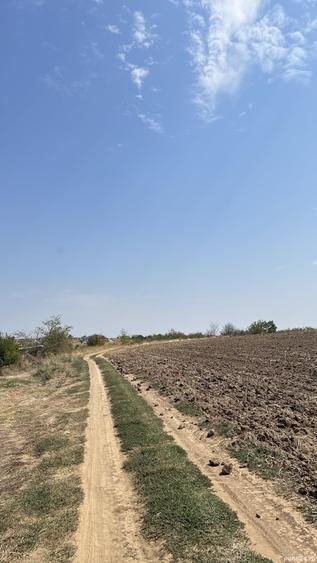 Teren A2 km 21 langa lacul Vadu Anei - 6