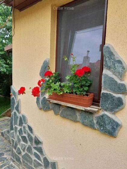 Casă individuală cu 3 camere cu Teren 2300 Mp în Nord-Est