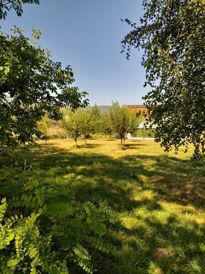 Teren de 1000 mp, în Sadu