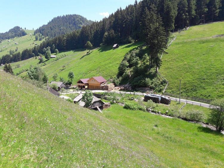 Teren de 4890 mp, în Moieciu