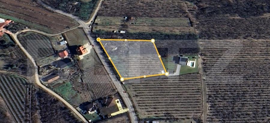 Teren Construcții intravilan de 2618 mp, în Plopu
