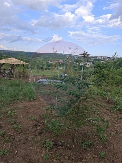 Teren Construcții intravilan de 1200 mp, în Săldăbagiu de Munte