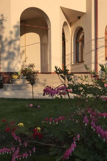 Casă individuală cu 6 camere cu Teren 2400 Mp în Bolintin-Deal