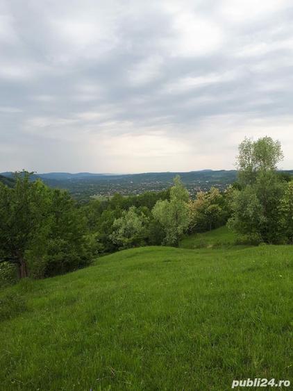 Teren de 10000 mp, în Chiciureni